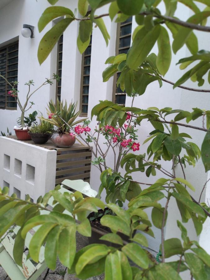 팔렝케 Departamentos De La Reina Roja 아파트 외부 사진