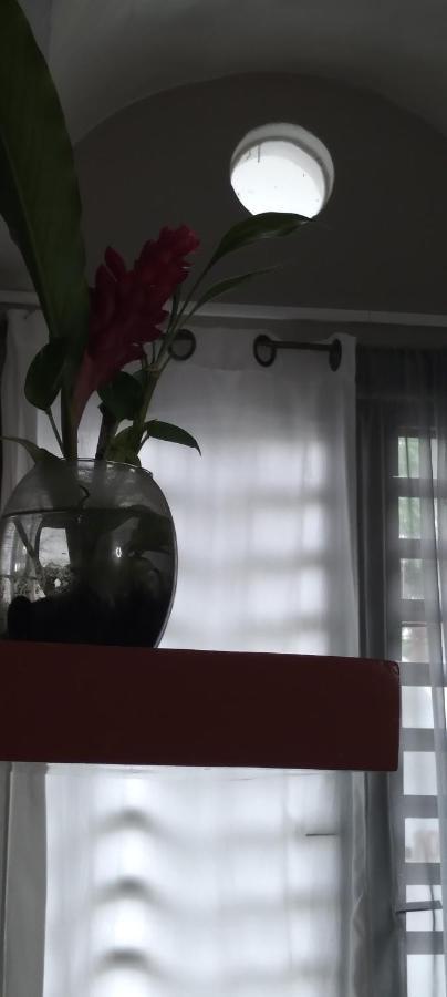 팔렝케 Departamentos De La Reina Roja 아파트 외부 사진